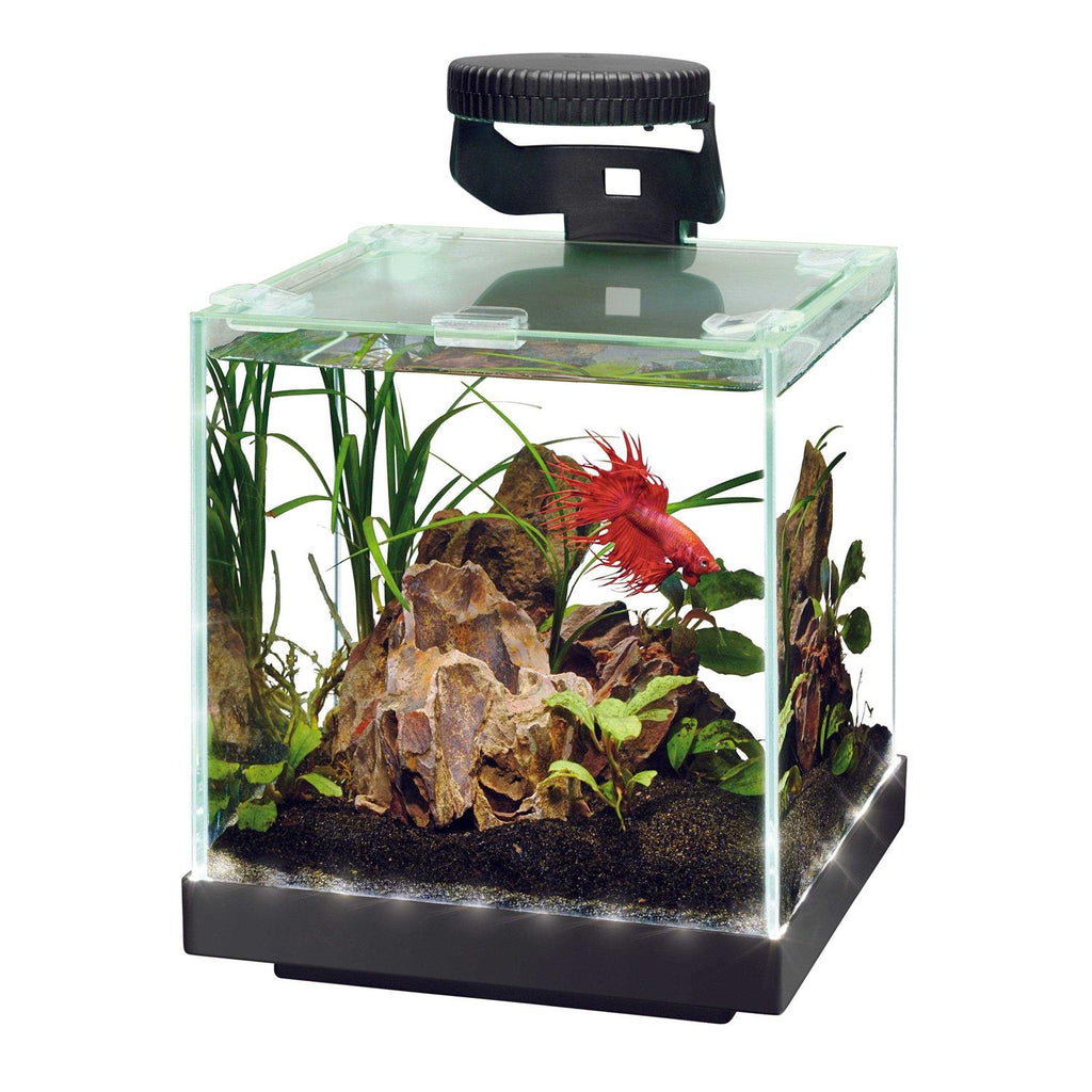 Aquarium P191818