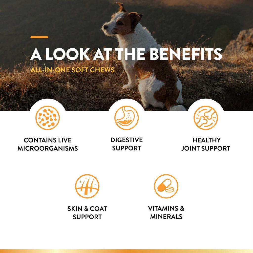 All-In-One for Dogs L785385
