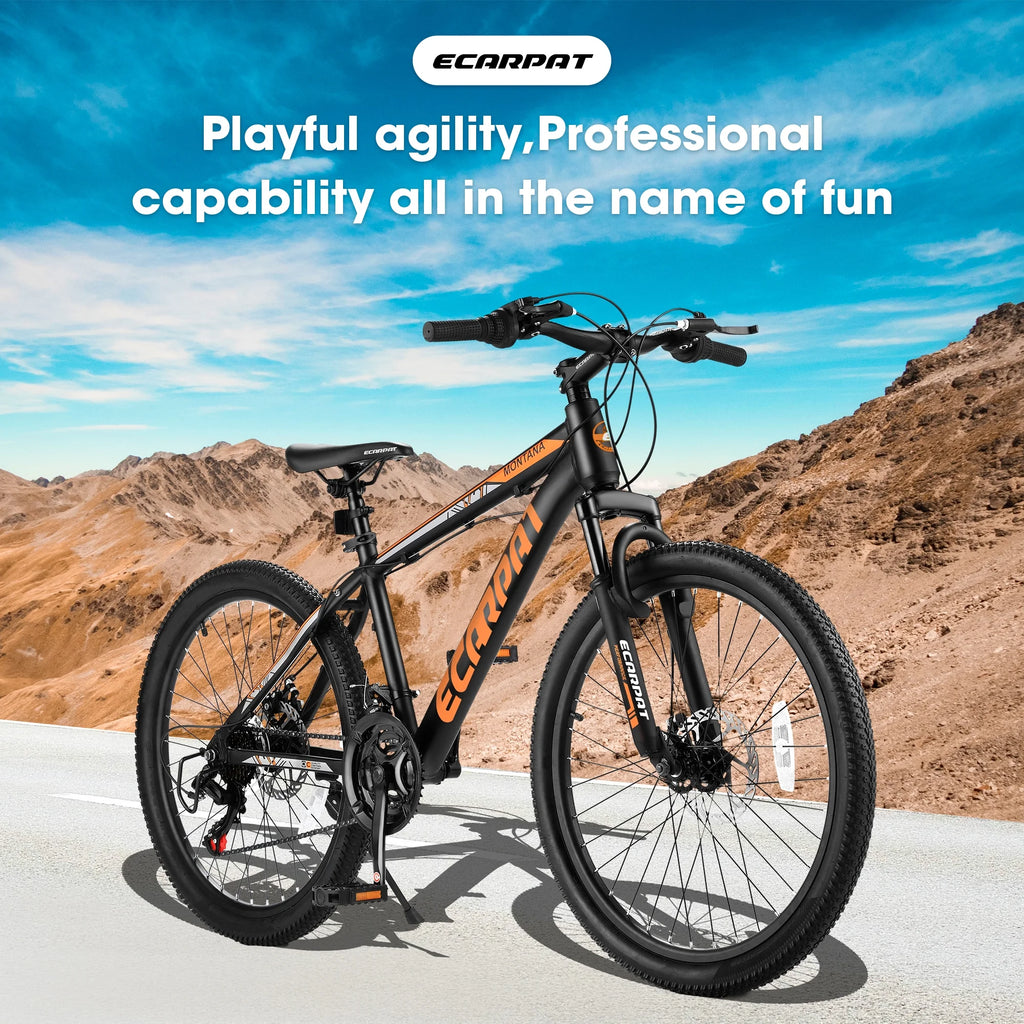 24 inch Aluminum Mountain Bike with Disc Brakes P18363