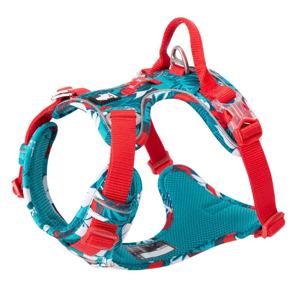No Pull Dog Harness with Quick-Release Neck Strap N589