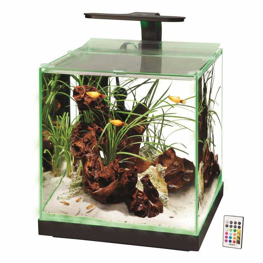 Aquarium P191818