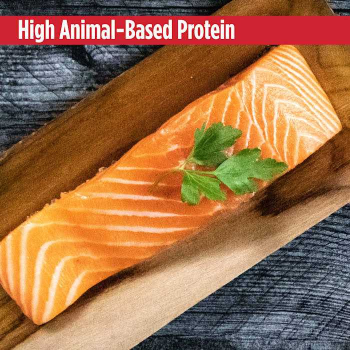 Grain Free Salmon Dog Food H444