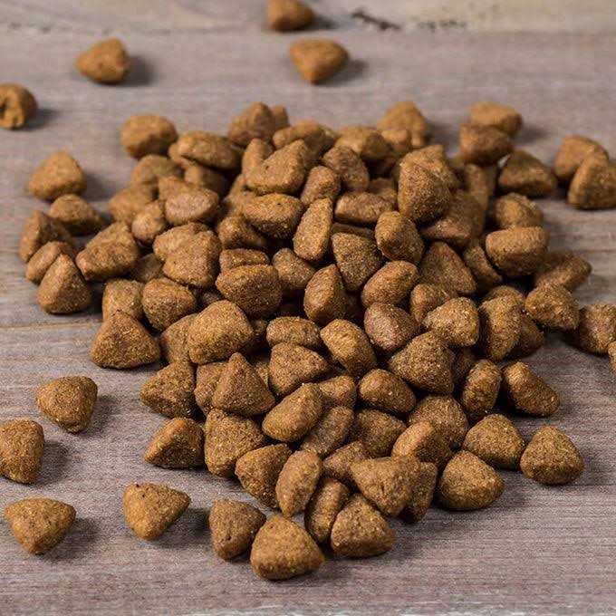 Game Bird Dry Dog Food H648034