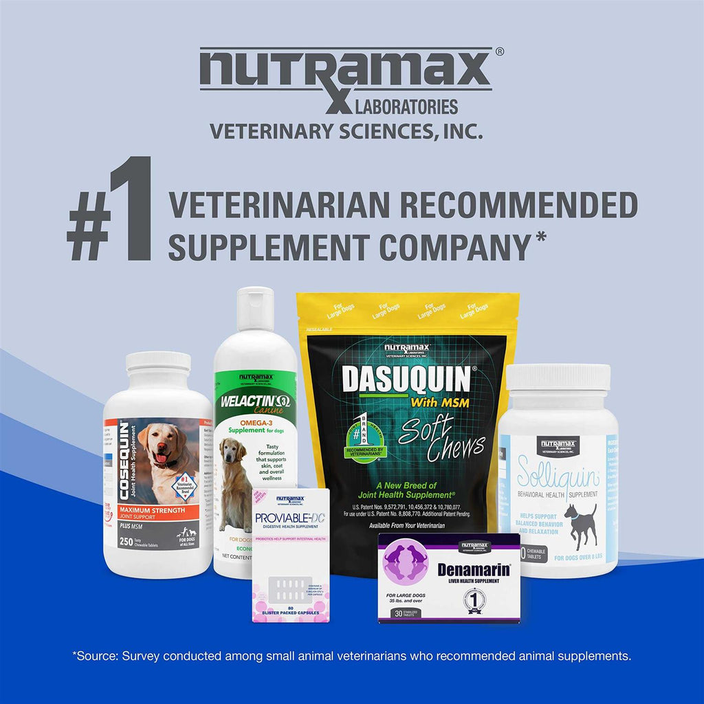 B12 Supplement Dogs T6800
