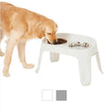 Elevated Dog Diner T700