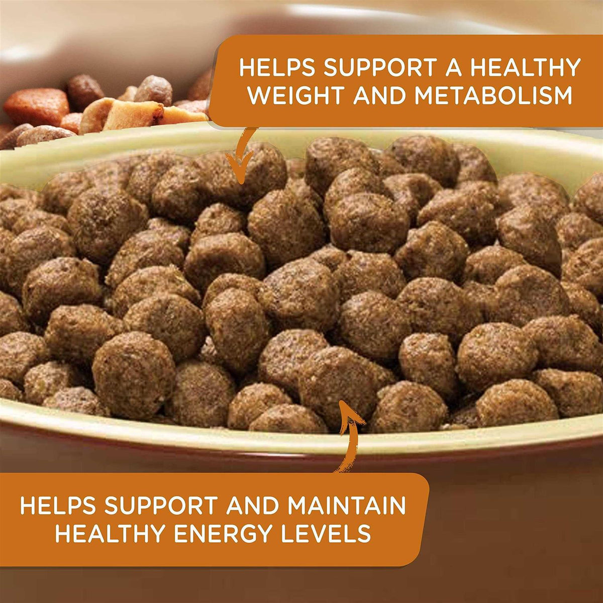 Turkey Brown Rice & Venison Recipe Dry Dog Food P827