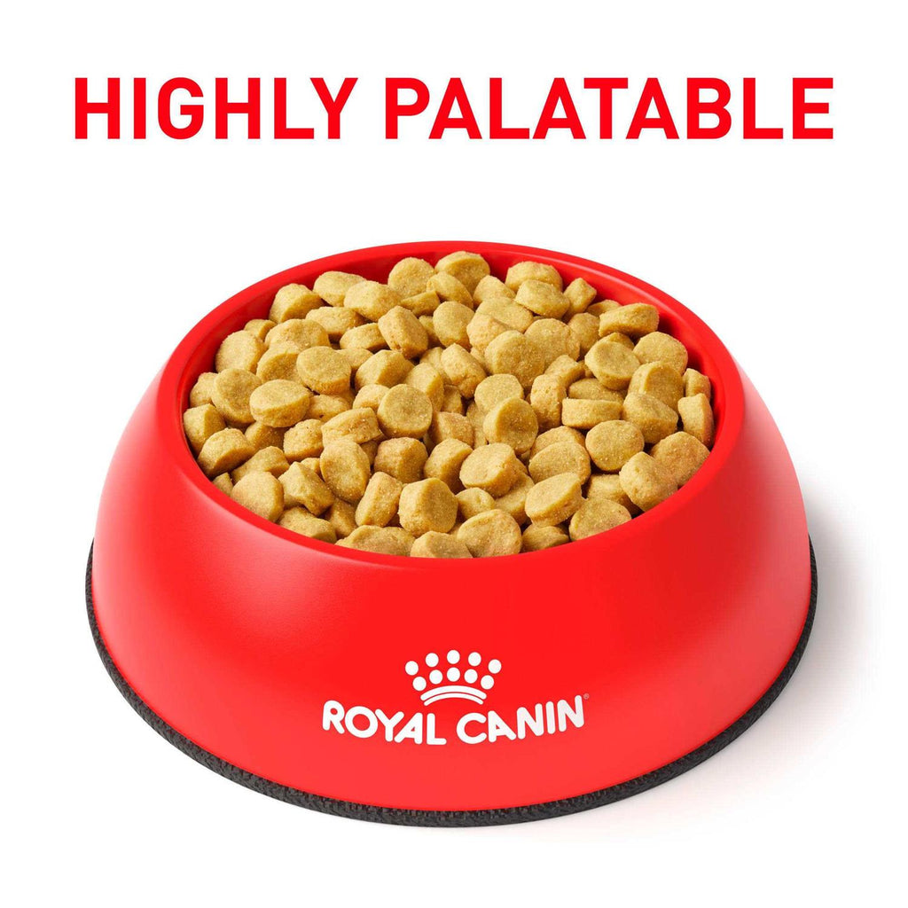 Hydrolyzed Protein Dry Dog Food M20658