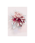 Canvas Art S561