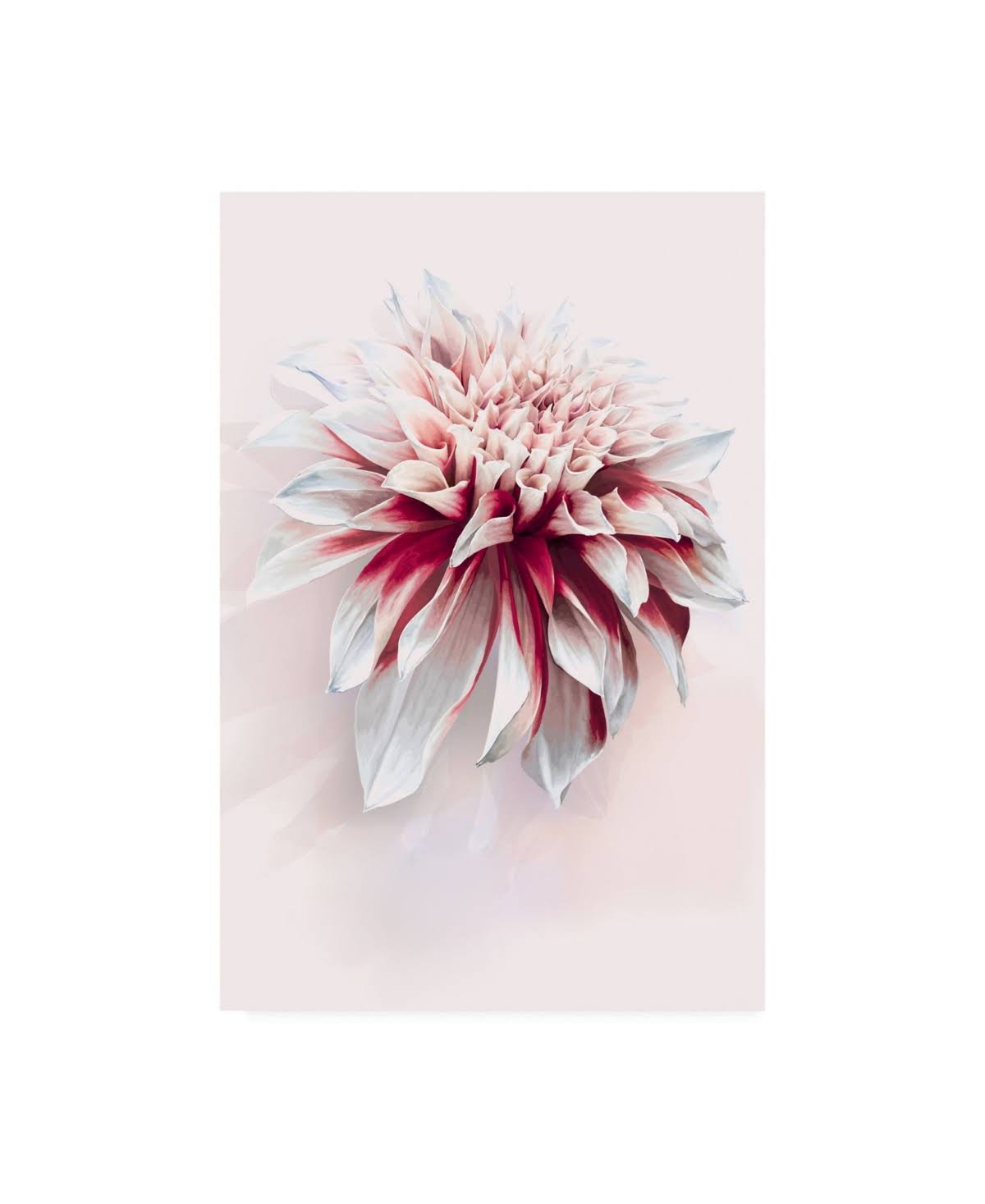 Canvas Art S561