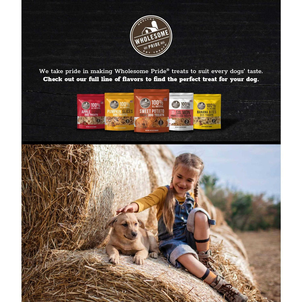 Apple Slices Dog Treats D74779