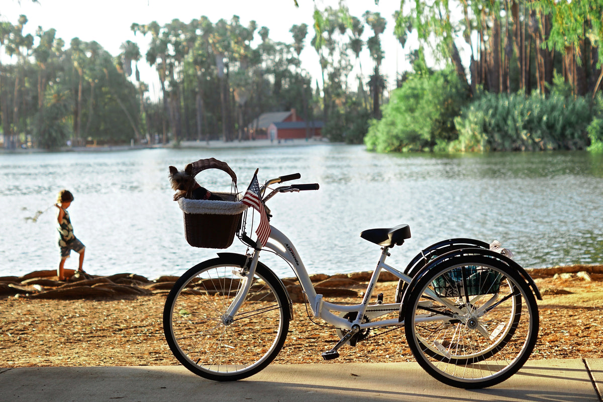 Blue Folding Adult Trike L28365