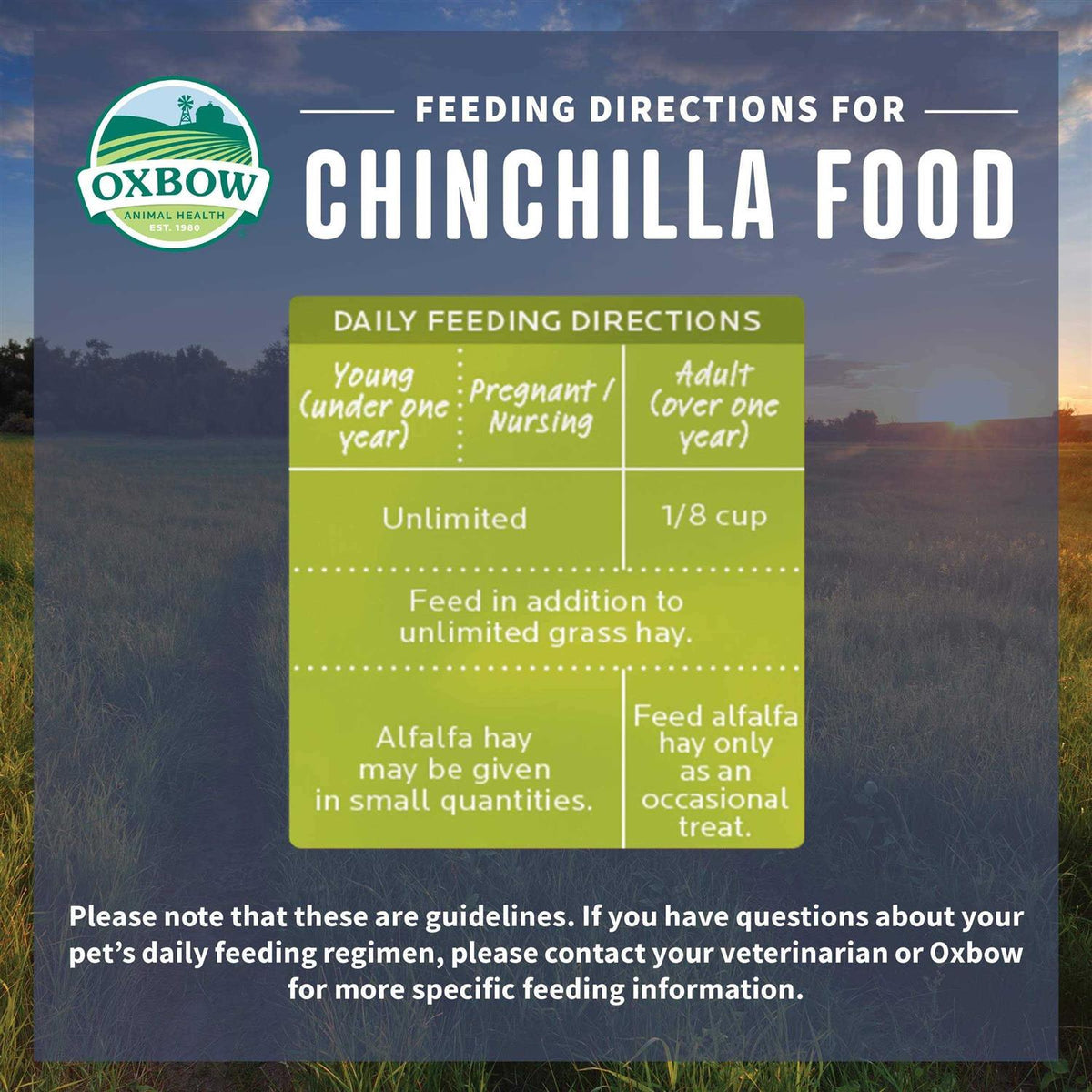 Chinchilla Food U5320