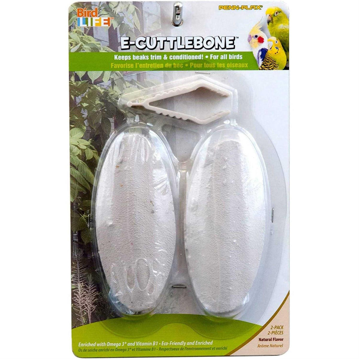 Natural Cuttlebone A92233