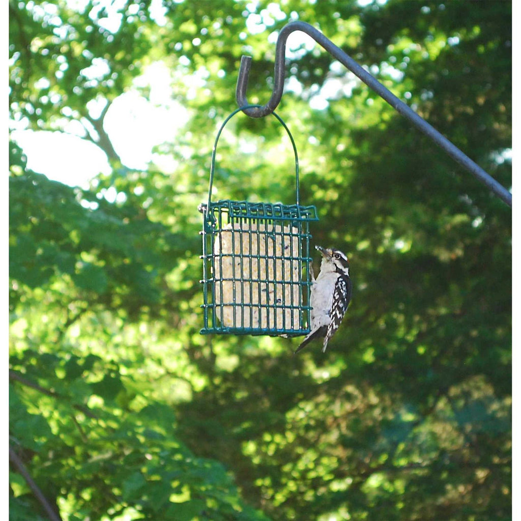 High Energy Suet Cake 10 Pack J459