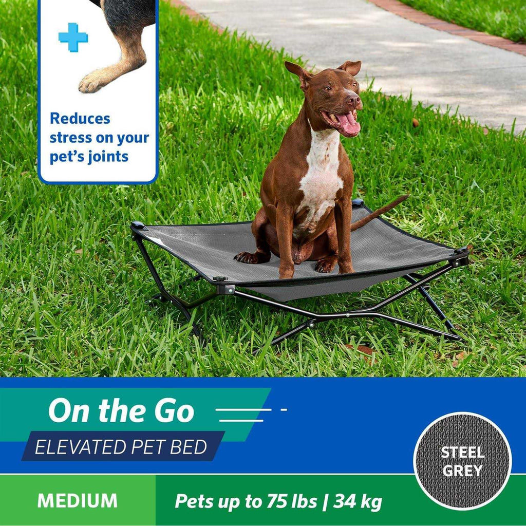Elevated Pet Bed C46536