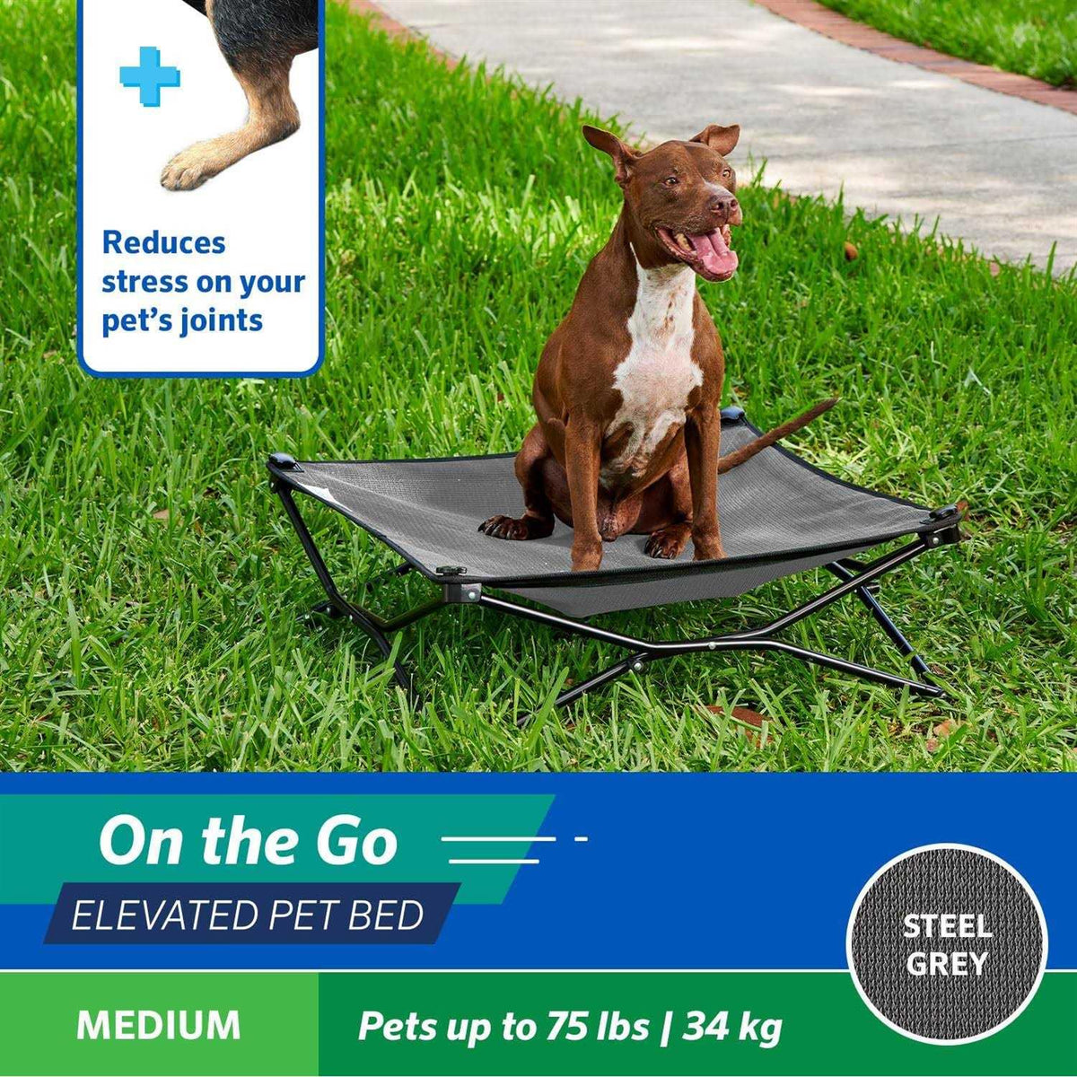 Elevated Pet Bed C46536