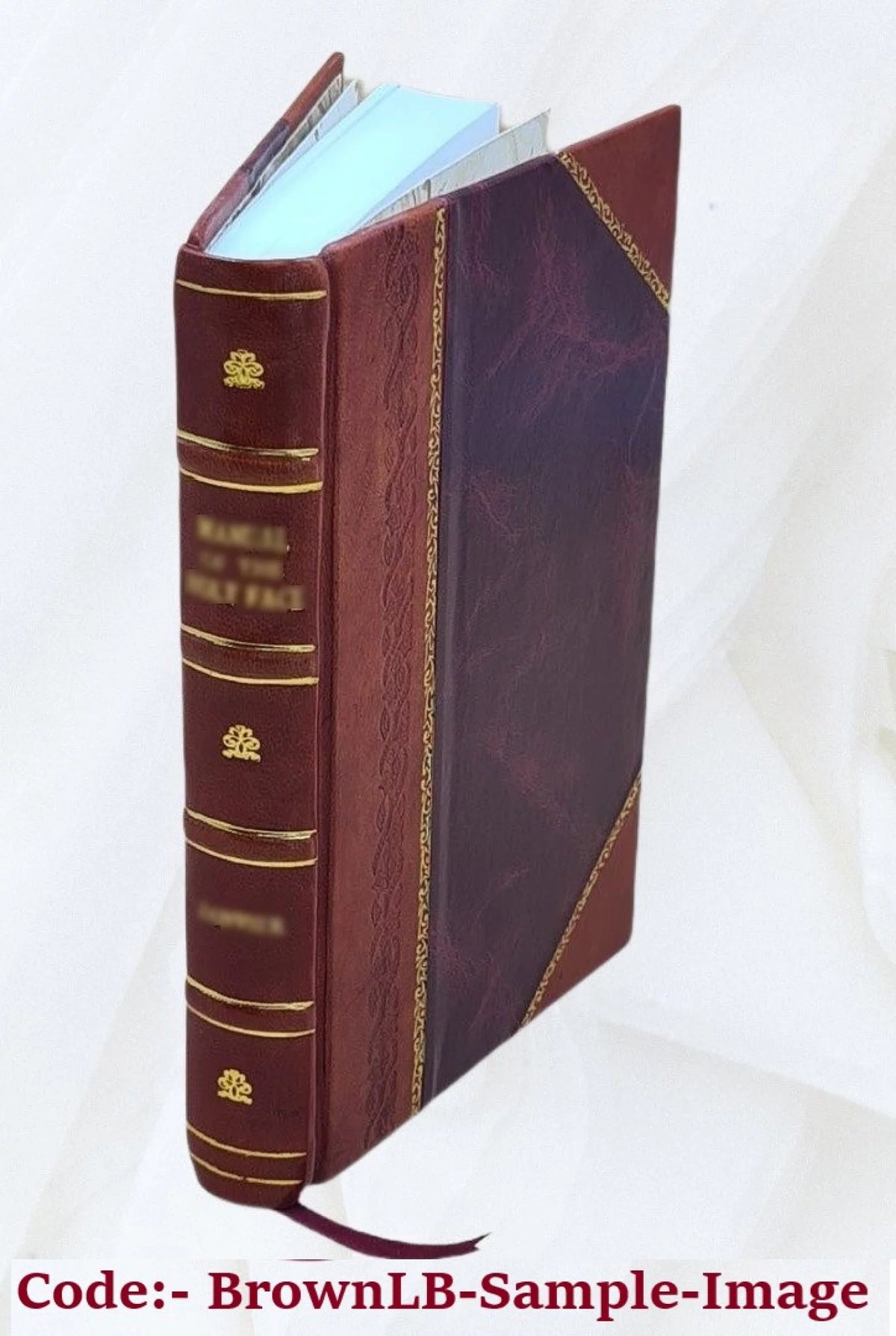 Leather Bound Encyclopedia of Fine Arts D4224