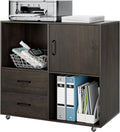 2 Drawer Wood Mobile File Cabinet with Door U272213