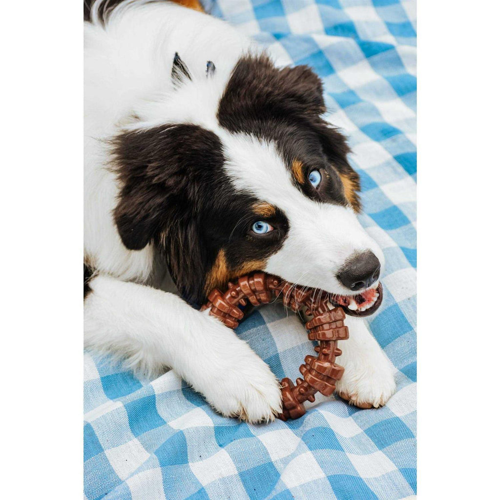 Textured Chew Ring T3330