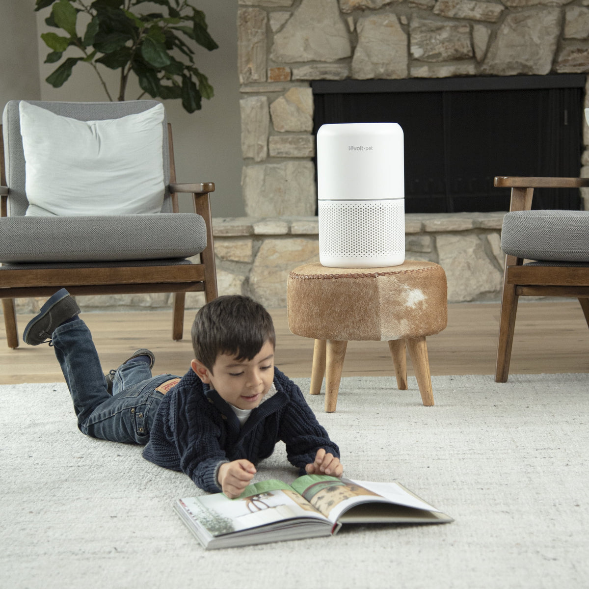 White True HEPA Air Purifier D613