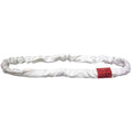 5 ft Roundsling D549948