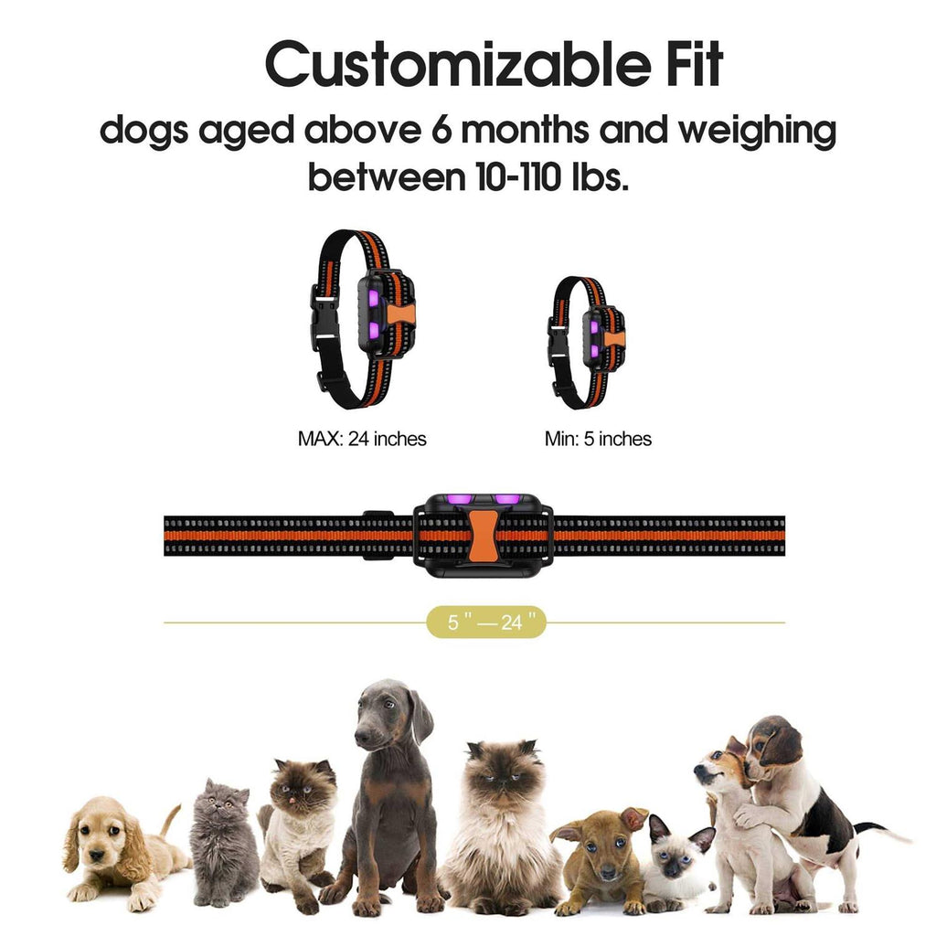 Remote Training Dog Collar D37110