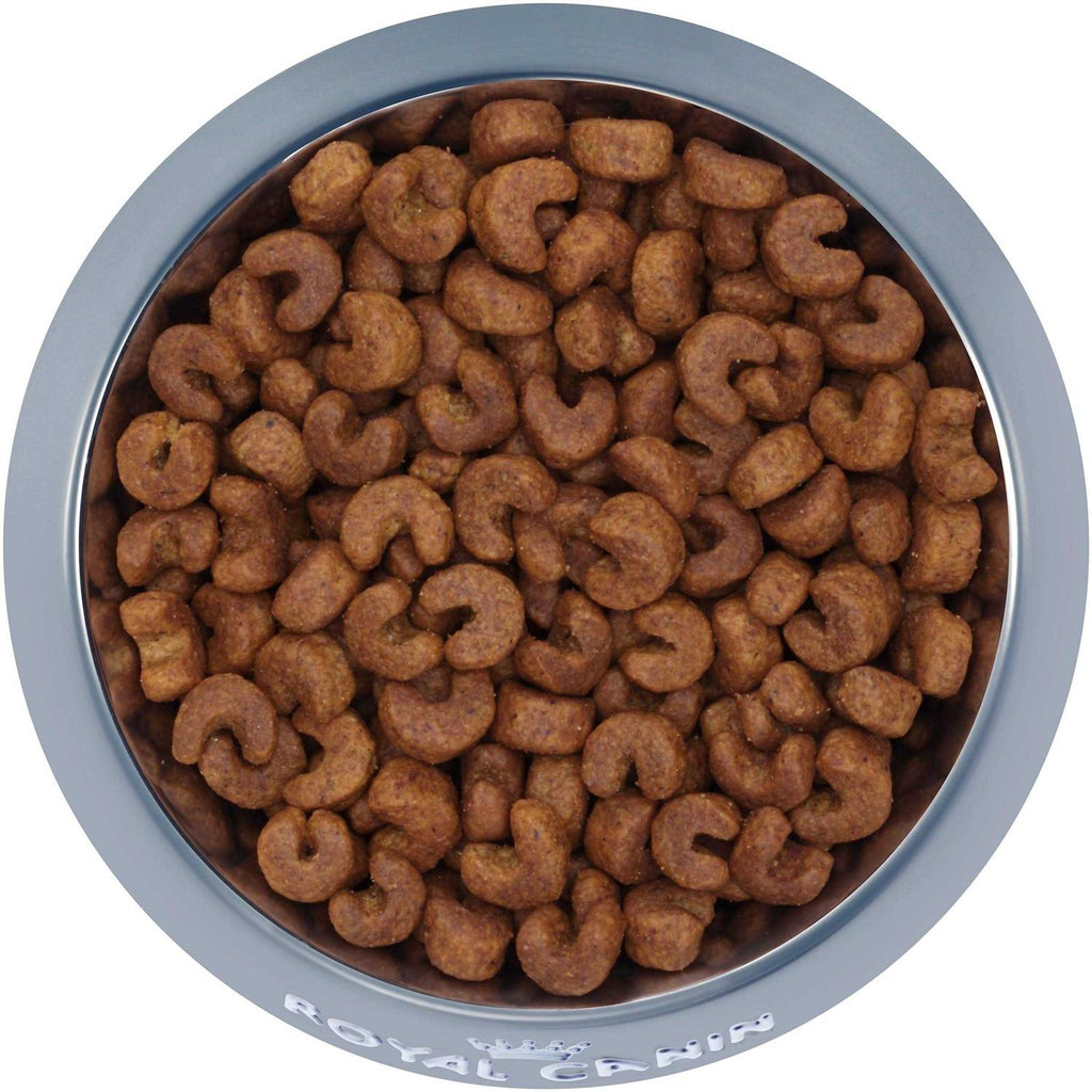 Adult Dry Dog Food D731015