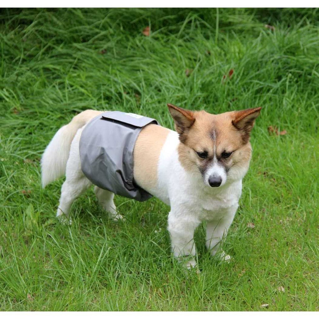 5 Pack Washable Dog Diapers Male Q730409
