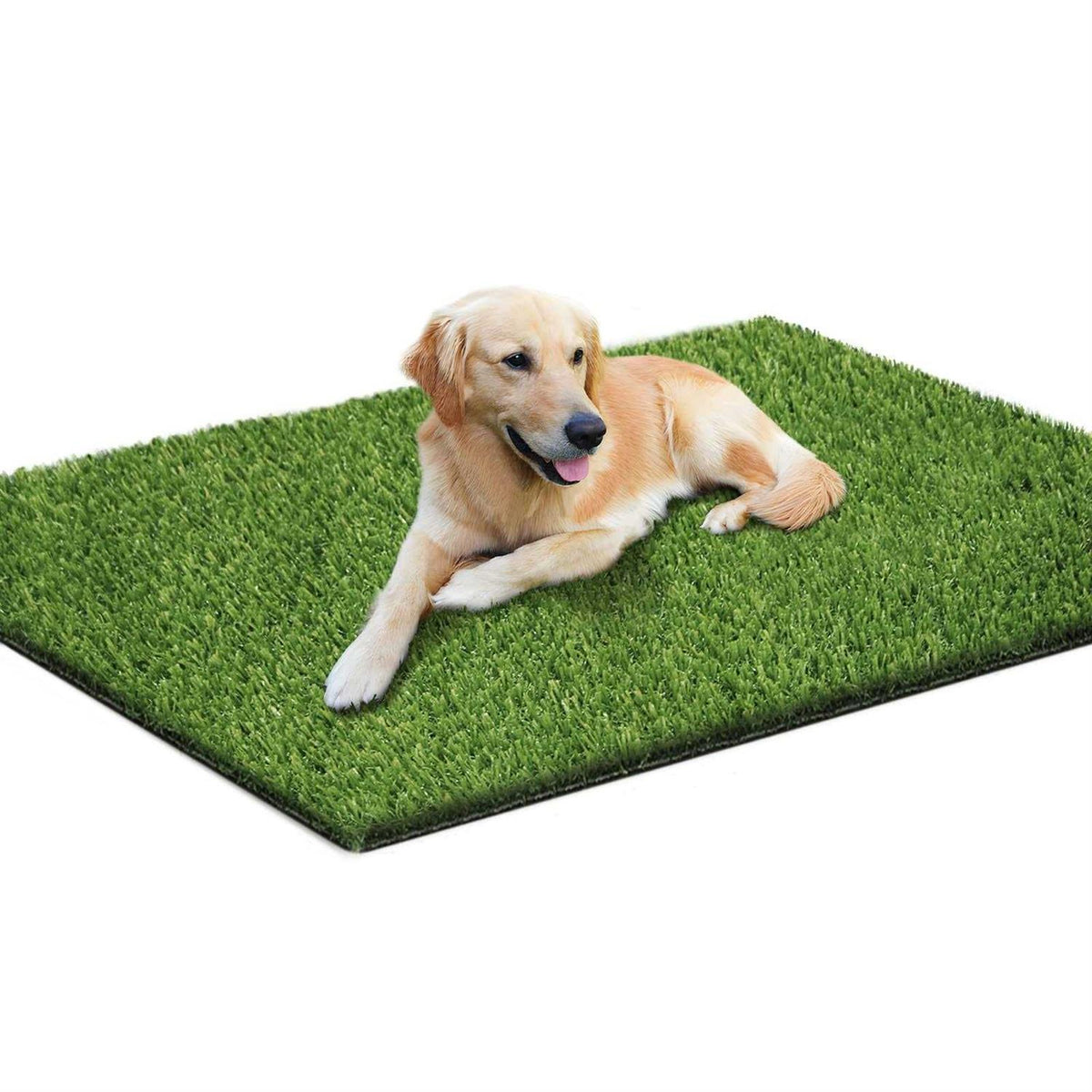 39.4 x 31.5 Inches Washable Artificial Grass Rug H938495