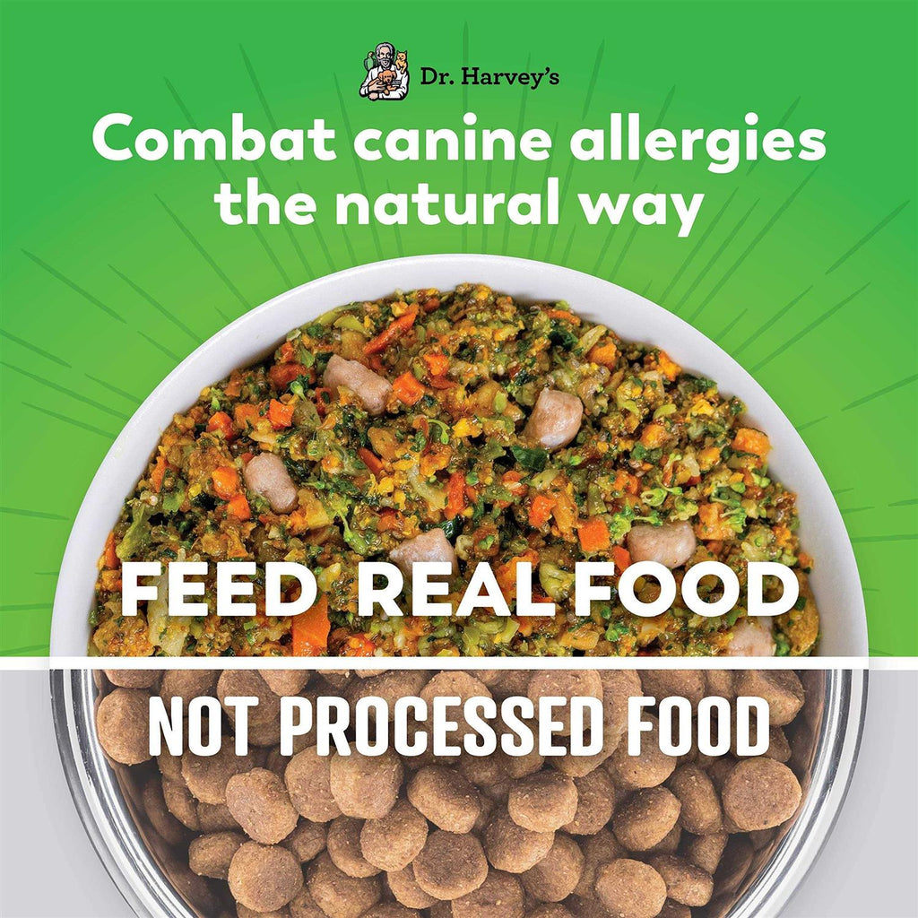 Salmon Recipe Human Grade Dog Food Y317