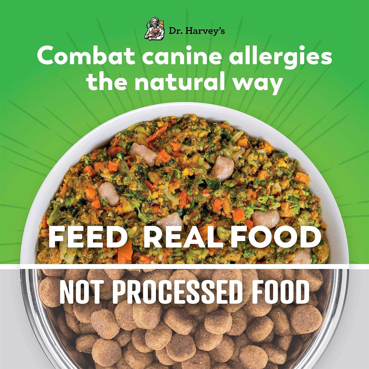 Salmon Recipe Human Grade Dog Food Y317