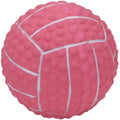 Latex Mini Volleyball for Dogs S55654