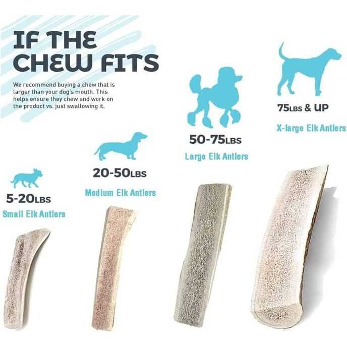 Split Elk Antlers for Dogs C2202