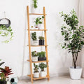 5-Tier Bamboo Ladder Shelf X38603