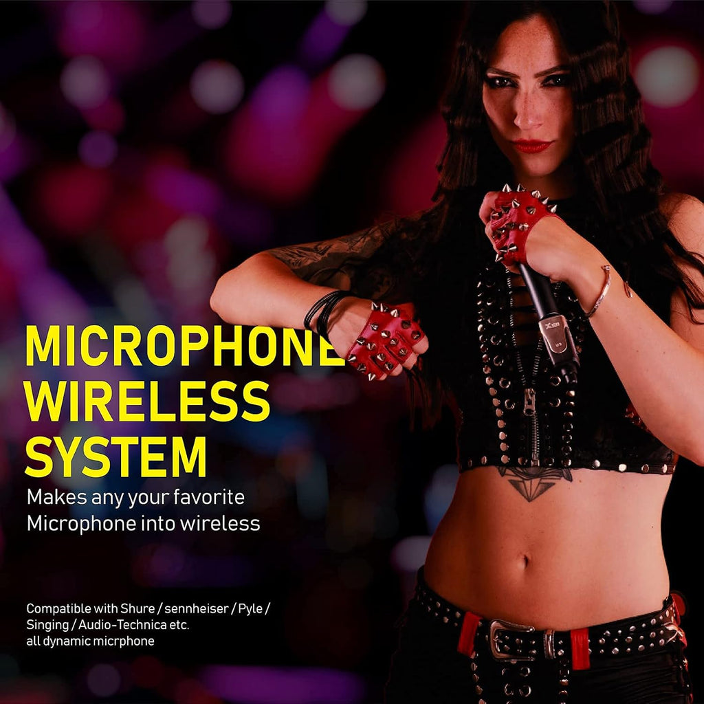 XLR Wireless Microphone System C343
