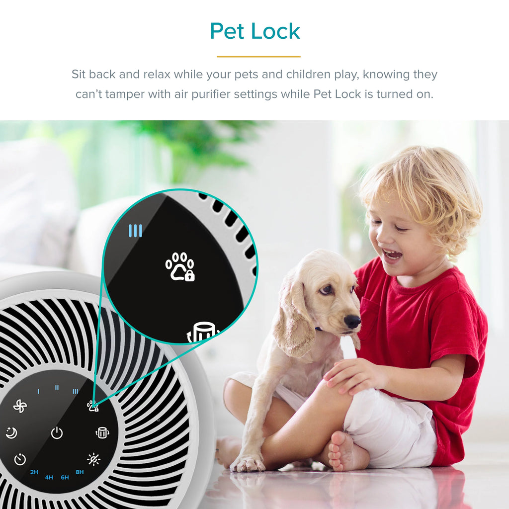 White True HEPA Air Purifier D613