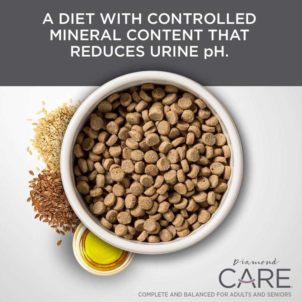 Adult Dry Cat Food B73642