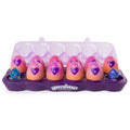 Purple 12 Pack Mystery Egg Carton M722