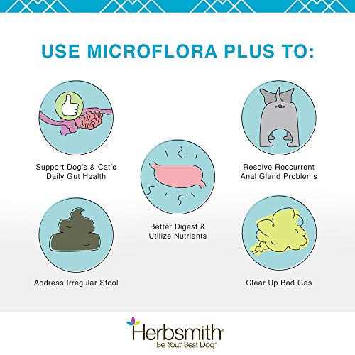 Microflora Plus for Digestion A21084