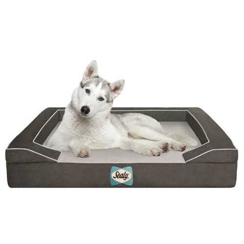 Memory Foam Dog Bed T235625