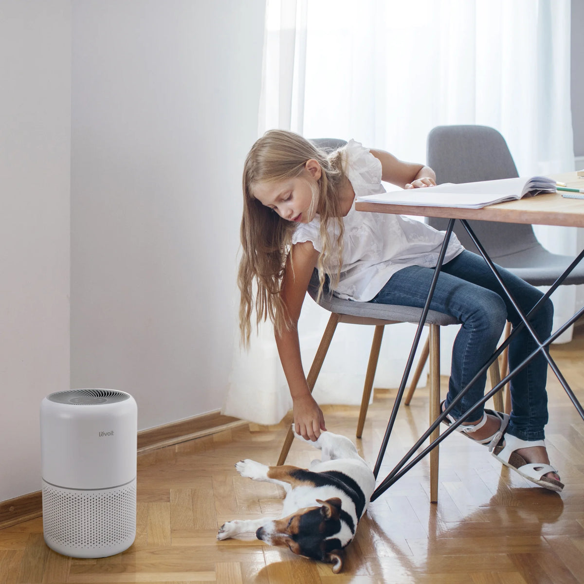 White True HEPA Air Purifier D613