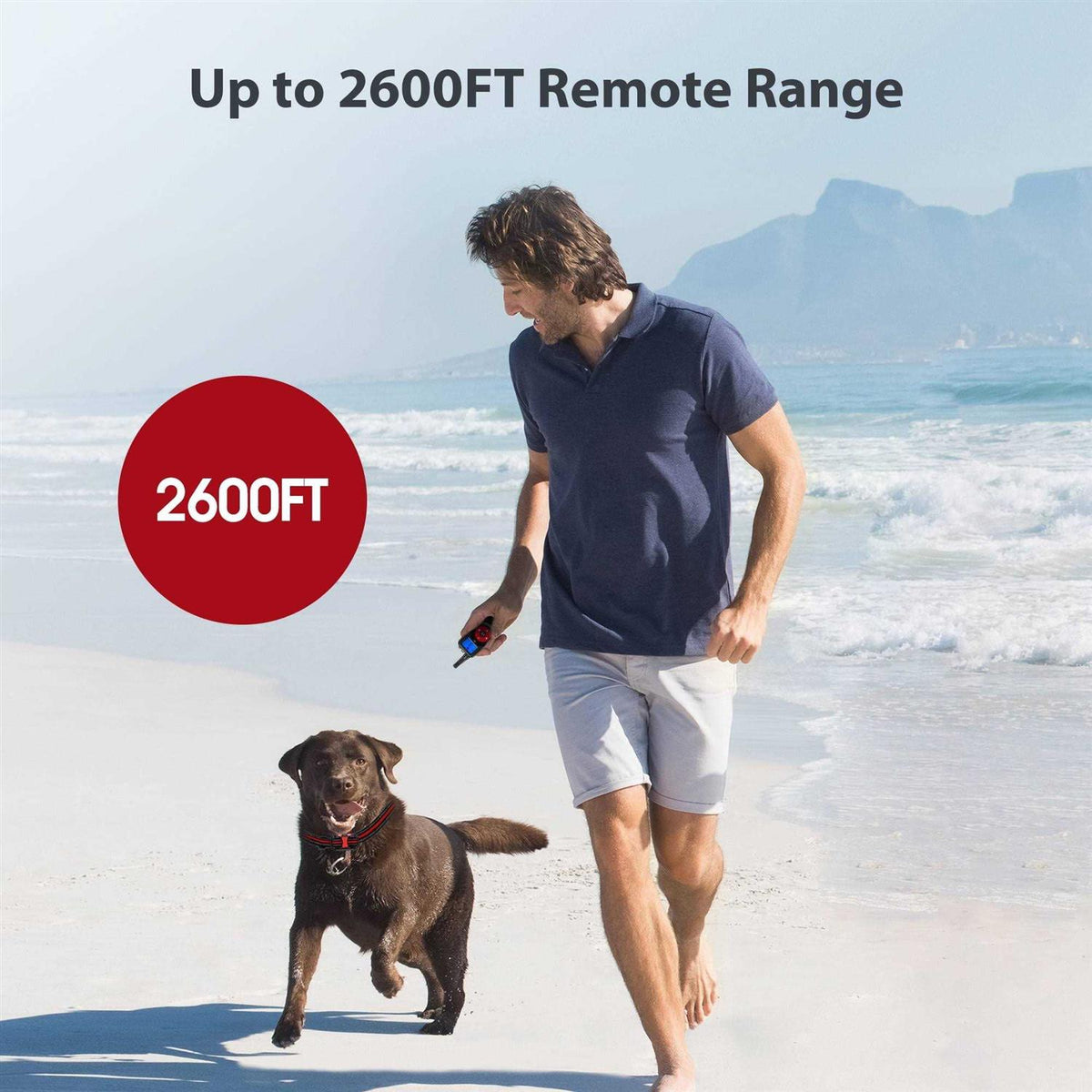 Remote Training Dog Collar D37110