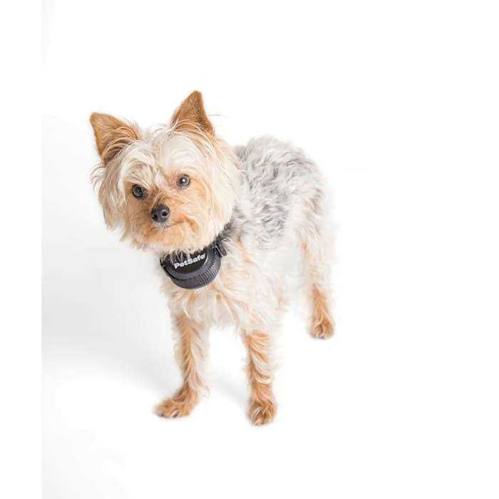 Rechargeable Receiver Collar Q855513