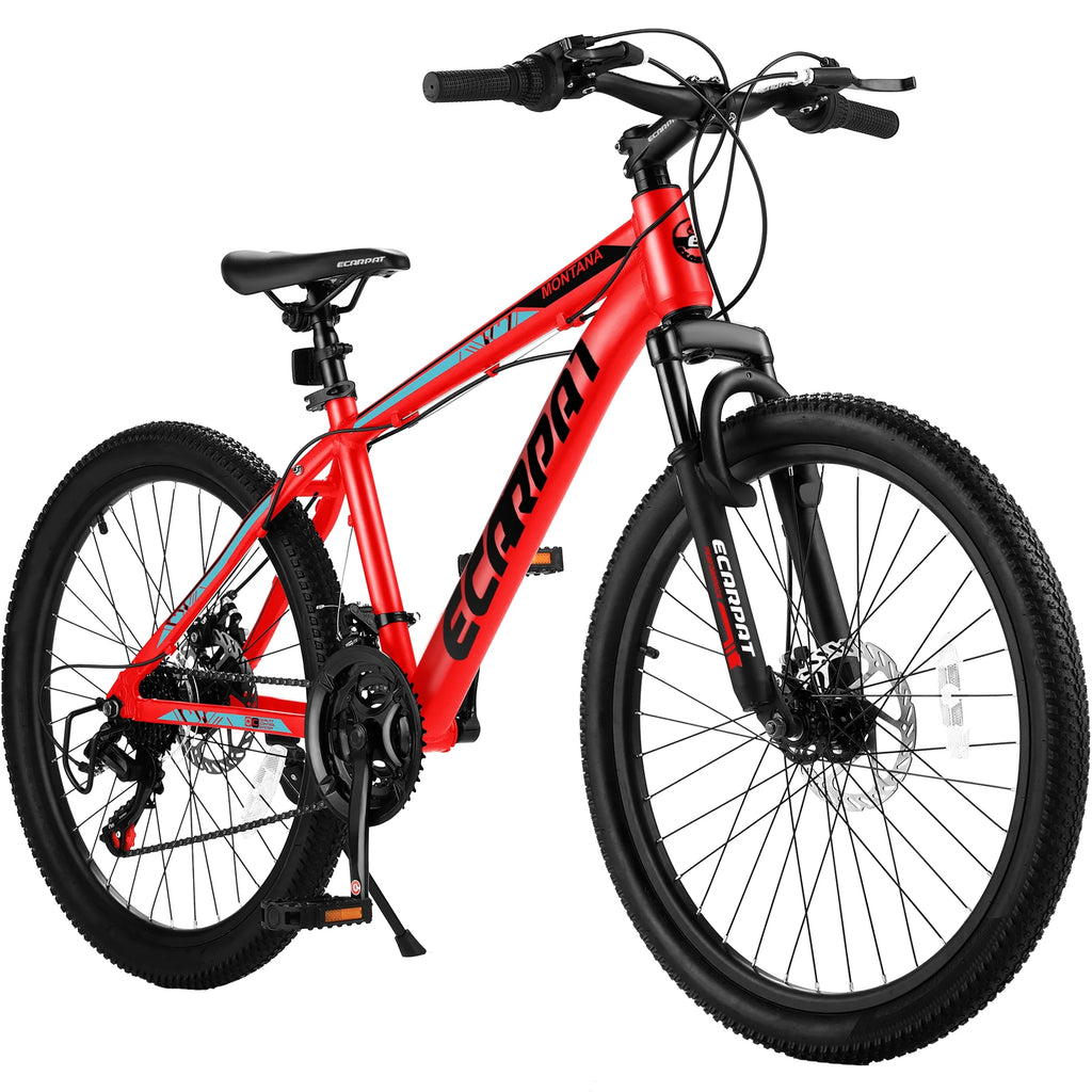 24 inch Aluminum Mountain Bike with Disc Brakes P18363