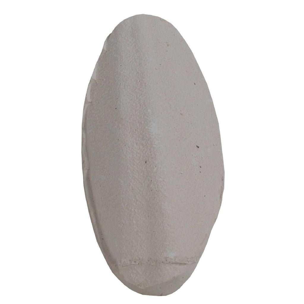 Natural Cuttlebone A92233