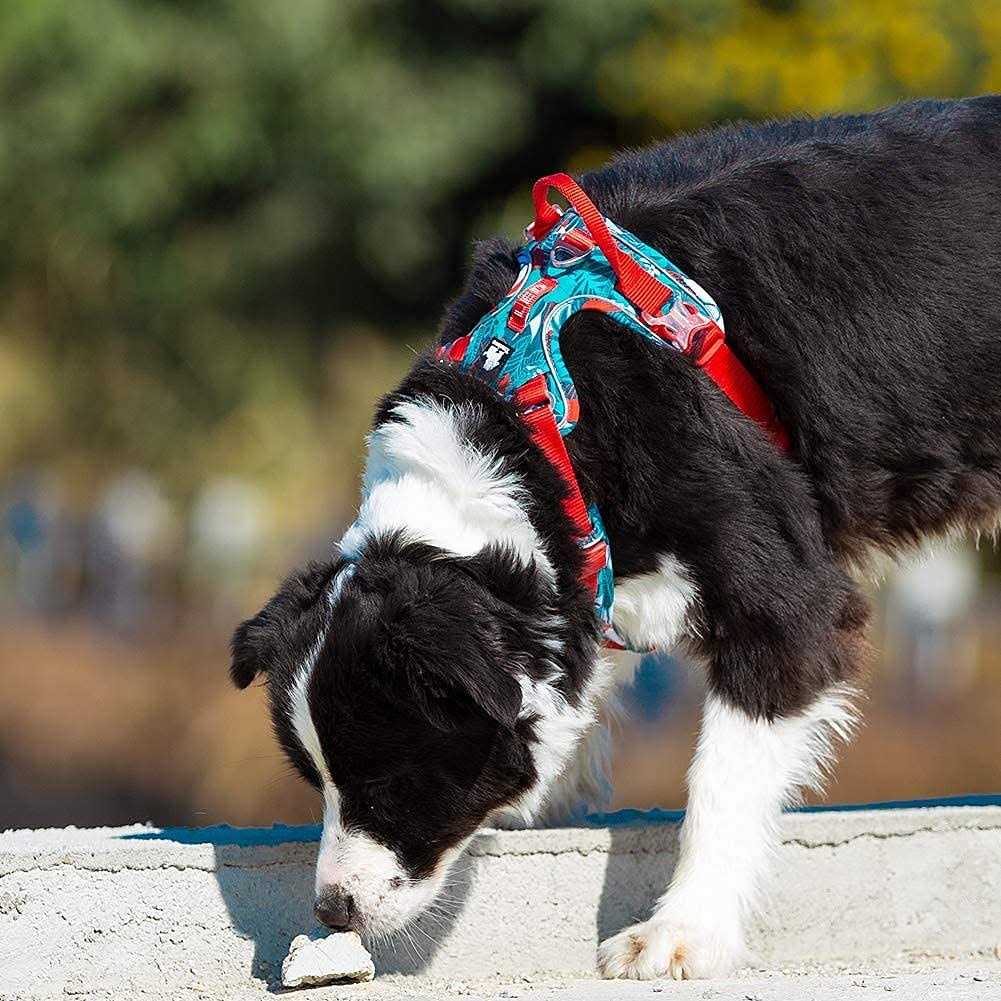 No Pull Dog Harness with Quick-Release Neck Strap N589
