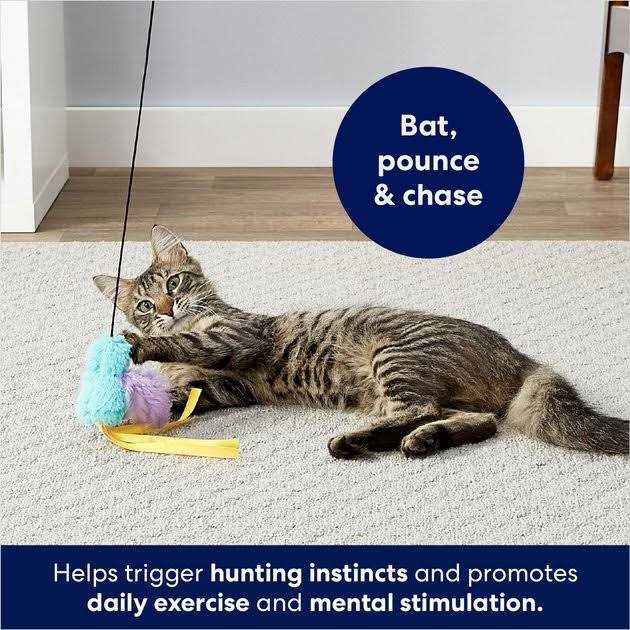 Catnip Cat Teaser Wand Toy I962754