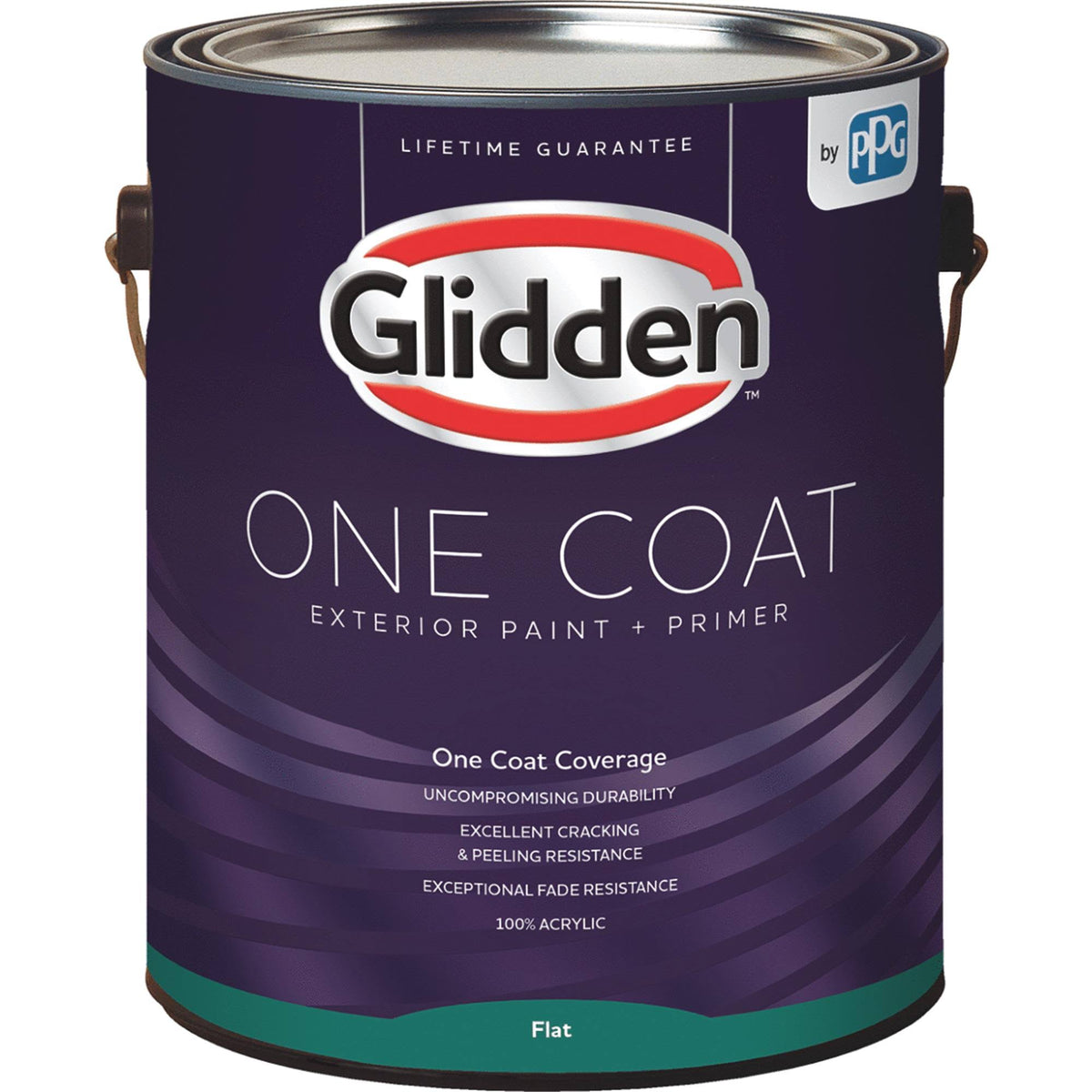 Exterior Paint + Primer Flat 1 Gal X813