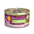 Wet Cat Food N9096