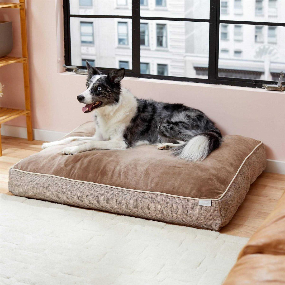 Plush Orthopedic Dog Bed with Removable Cover S84864
